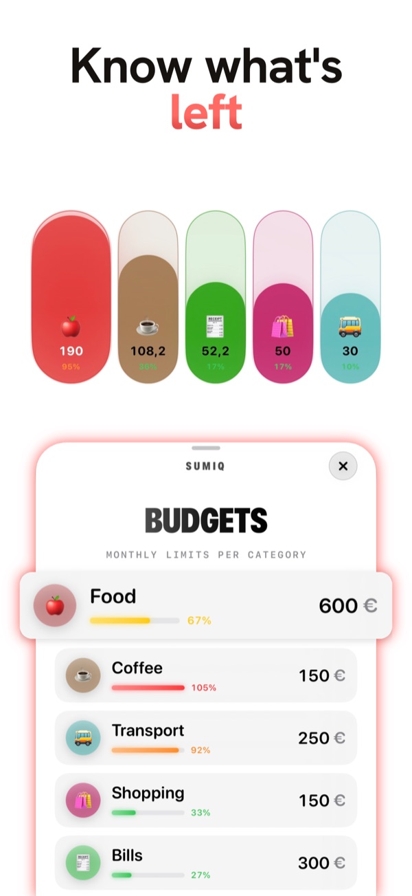 Per-category monthly budgets with live progress in SumiQ.
